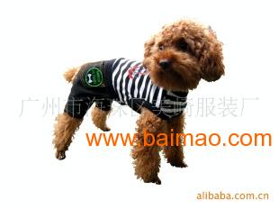 開拓歐洲寵物服裝市場 阿里巴巴平臺大批發供應指南